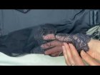 Кружевное боди JANIRA Испания 45266